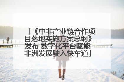 《中非产业链合作项目落地实施方案总纲》发布 数字化平台赋能非洲发展驶入快车道