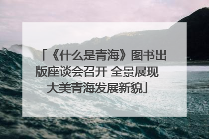 《什么是青海》图书出版座谈会召开 全景展现大美青海发展新貌
