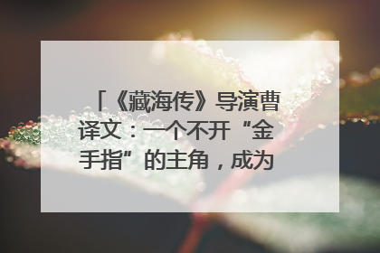 《藏海传》导演曹译文：一个不开“金手指”的主角，成为苍生守护者