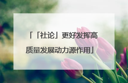 「社论」更好发挥高质量发展动力源作用