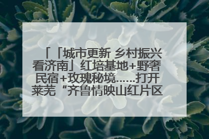「城市更新 乡村振兴看济南」红培基地+野奢民宿+玫瑰秘境……打开莱芜“齐鲁情映山红片区”的破圈秘籍