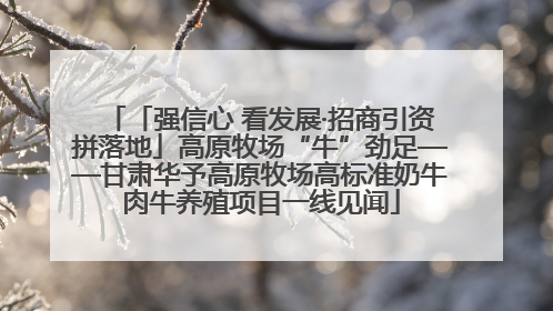 「强信心 看发展·招商引资拼落地」高原牧场“牛”劲足——甘肃华予高原牧场高标准奶牛肉牛养殖项目一线见闻