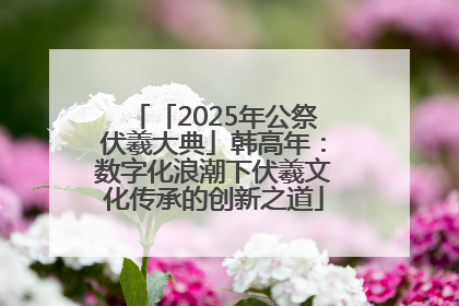 「2025年公祭伏羲大典」韩高年：数字化浪潮下伏羲文化传承的创新之道