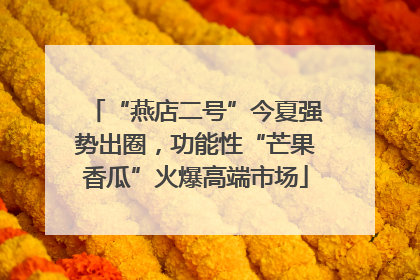 “燕店二号”今夏强势出圈，功能性“芒果香瓜”火爆高端市场