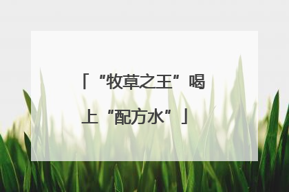 “牧草之王”喝上“配方水”