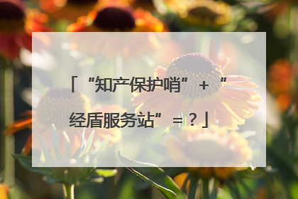 “知产保护哨”+“经盾服务站”=？
