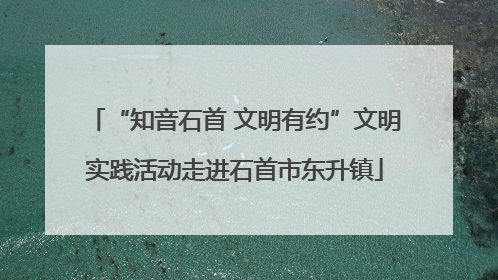 “知音石首 文明有约”文明实践活动走进石首市东升镇