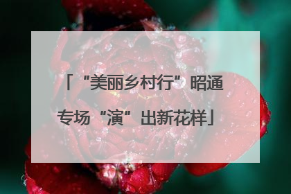“美丽乡村行”昭通专场“演”出新花样