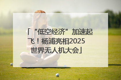 “低空经济”加速起飞！杨浦亮相2025世界无人机大会