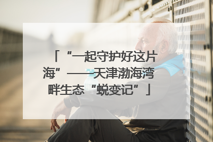 “一起守护好这片海”——天津渤海湾畔生态“蜕变记”