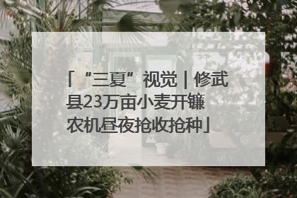 “三夏”视觉｜修武县23万亩小麦开镰 农机昼夜抢收抢种