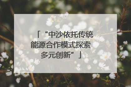 “中沙依托传统能源合作模式探索多元创新”