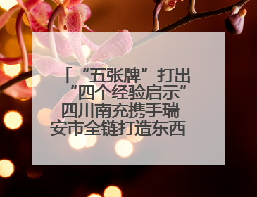 “五张牌”打出“四个经验启示” 四川南充携手瑞安市全链打造东西部“消费协作”