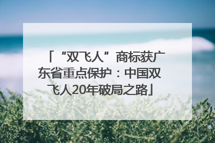 “双飞人”商标获广东省重点保护：中国双飞人20年破局之路