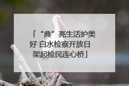 “典”亮生活护美好 白水检察开放日架起检民连心桥