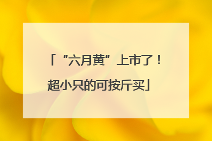 “六月黄”上市了！超小只的可按斤买