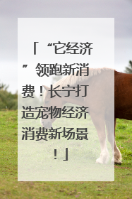 “它经济”领跑新消费！长宁打造宠物经济消费新场景！