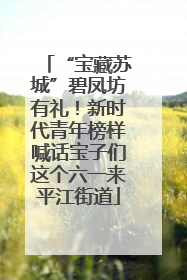 “宝藏苏城”碧凤坊有礼！新时代青年榜样喊话宝子们这个六一来平江街道