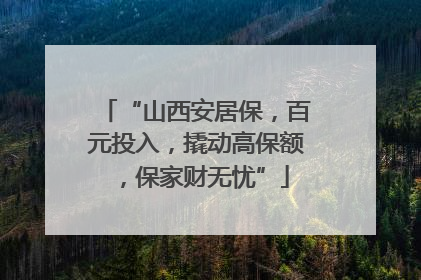 “山西安居保，百元投入，撬动高保额，保家财无忧”