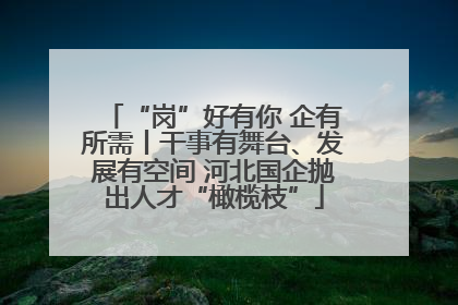 “岗”好有你 企有所需丨干事有舞台、发展有空间 河北国企抛出人才“橄榄枝”