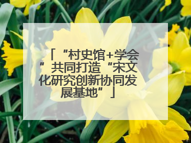 “村史馆+学会”共同打造“宋文化研究创新协同发展基地”