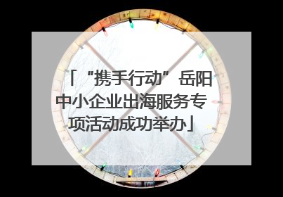 “携手行动”岳阳中小企业出海服务专项活动成功举办