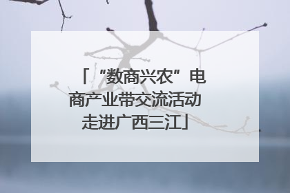 “数商兴农”电商产业带交流活动走进广西三江