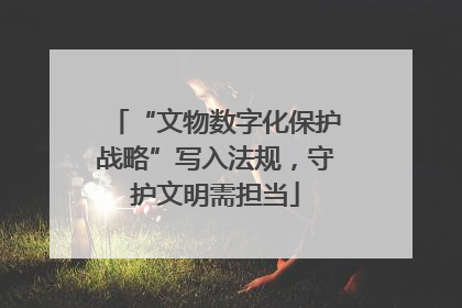“文物数字化保护战略”写入法规，守护文明需担当