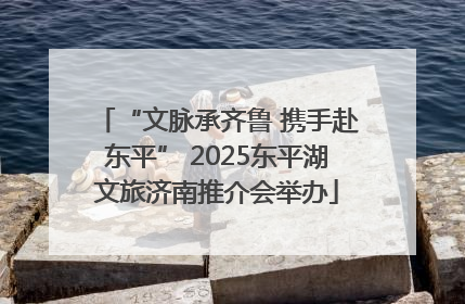 “文脉承齐鲁 携手赴东平” 2025东平湖文旅济南推介会举办