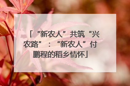“新农人”共筑“兴农路”：“新农人”付鹏程的稻乡情怀