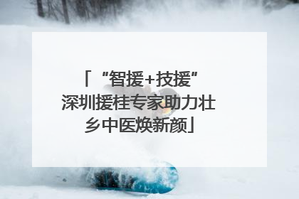“智援+技援” 深圳援桂专家助力壮乡中医焕新颜