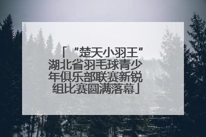“楚天小羽王”湖北省羽毛球青少年俱乐部联赛新锐组比赛圆满落幕