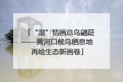 “湿”情画意鸟翩跹——黄河口候鸟栖息地再绘生态新画卷