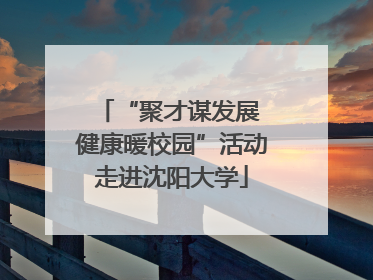 “聚才谋发展 健康暖校园”活动走进沈阳大学