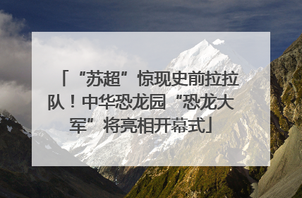 “苏超”惊现史前拉拉队！中华恐龙园“恐龙大军”将亮相开幕式