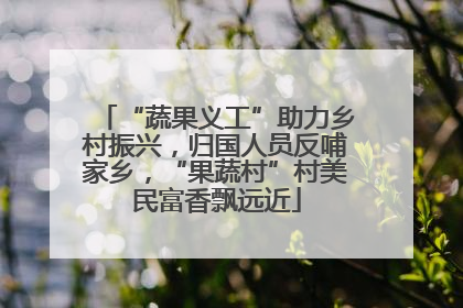 “蔬果义工”助力乡村振兴，归国人员反哺家乡，“果蔬村”村美民富香飘远近
