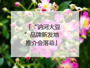 “讷河大豆”品牌新发地推介会落幕