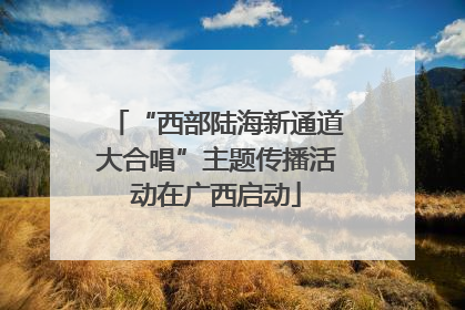 “西部陆海新通道大合唱”主题传播活动在广西启动
