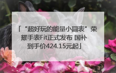 “超好玩的能量小圆表”荣耀手表Fit正式发布 国补到手价424.15元起