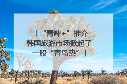 “青啤+”推介 韩国旅游市场掀起了一股“青岛热”