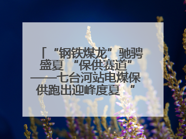 “钢铁煤龙”驰骋盛夏 “保供赛道”——七台河站电煤保供跑出迎峰度夏 “加速度”