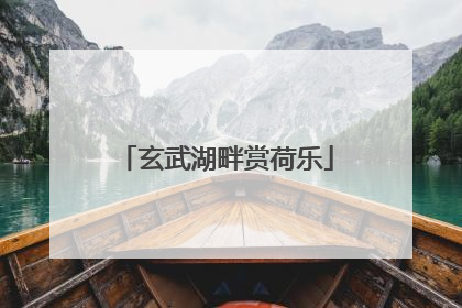 玄武湖畔赏荷乐