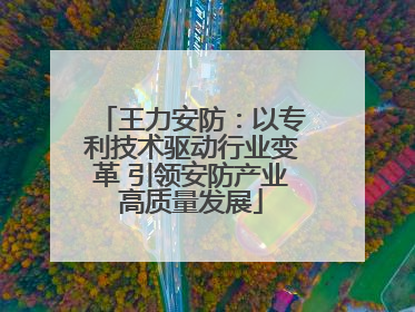 王力安防：以专利技术驱动行业变革 引领安防产业高质量发展