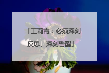 王莉霞：必须深刻反思、深刻警醒