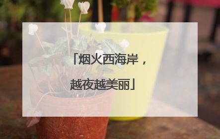 烟火西海岸，越夜越美丽