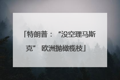 特朗普：“没空理马斯克” 欧洲抛橄榄枝