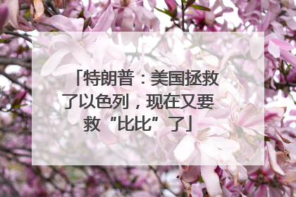 特朗普：美国拯救了以色列，现在又要救“比比”了