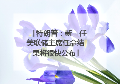 特朗普：新一任美联储主席任命结果将很快公布