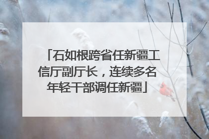 石如根跨省任新疆工信厅副厅长，连续多名年轻干部调任新疆