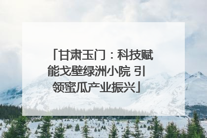 甘肃玉门：科技赋能戈壁绿洲小院 引领蜜瓜产业振兴